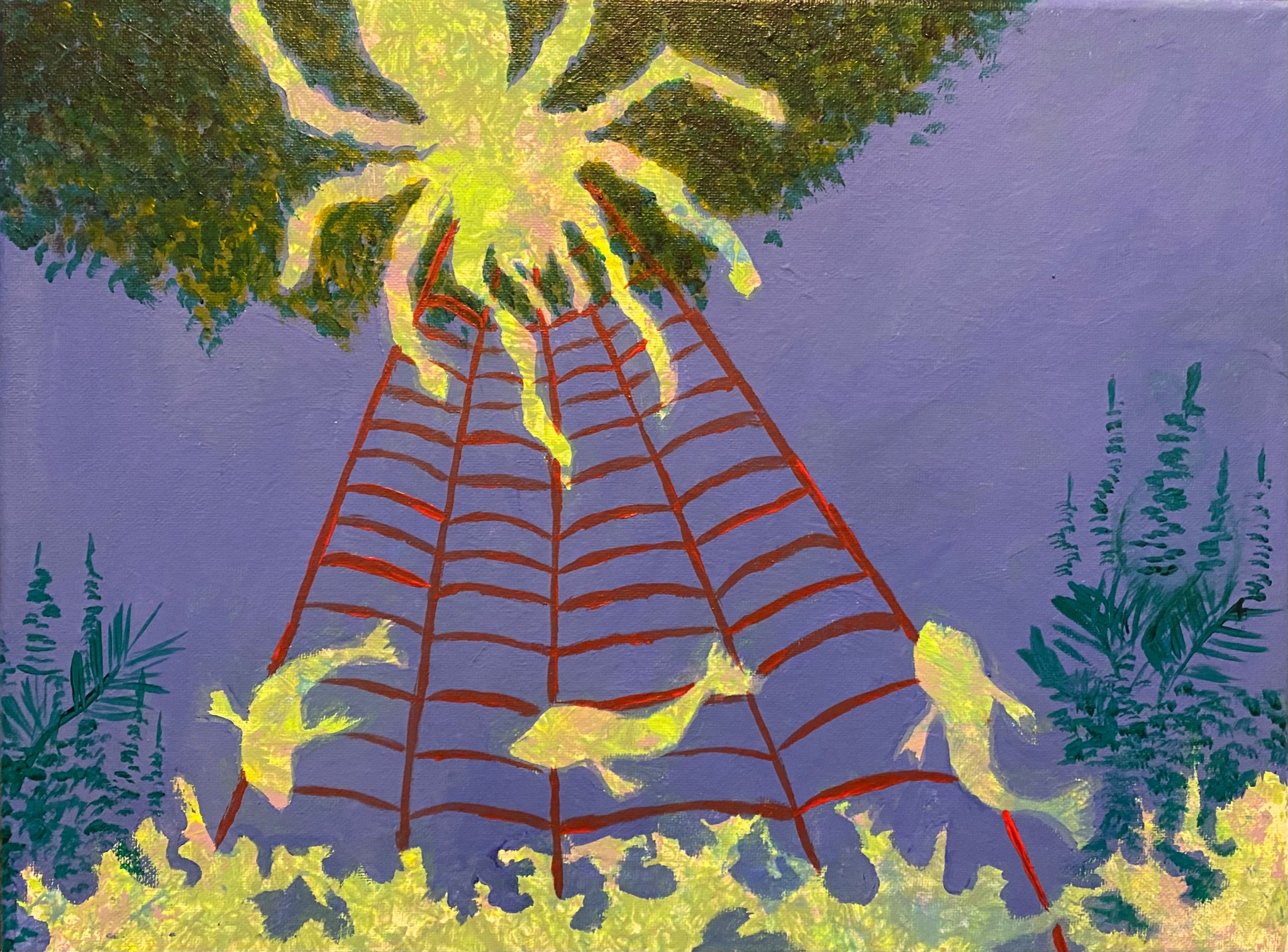 The Fishing Spider
